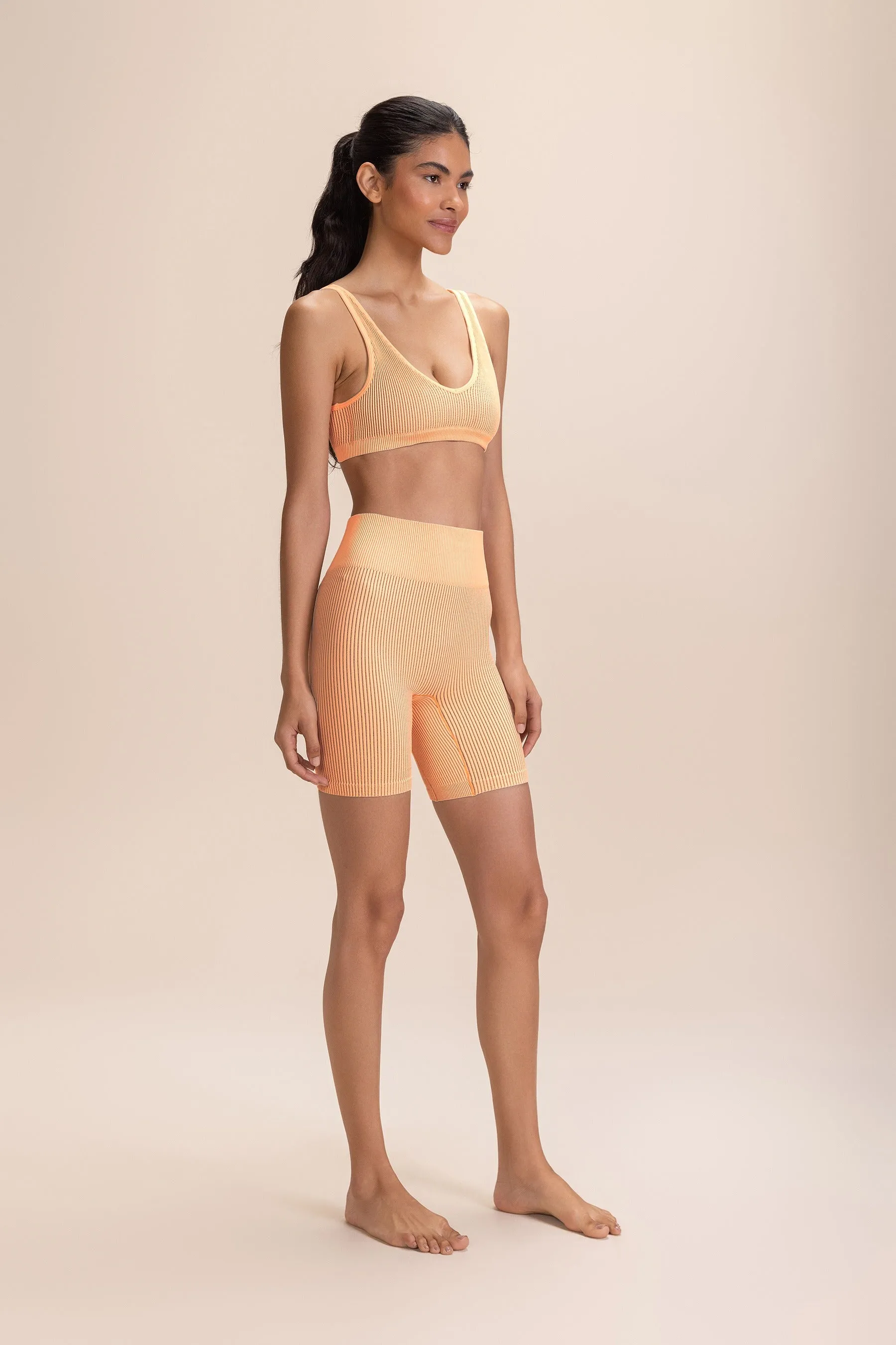 Seamless Rib Shorts